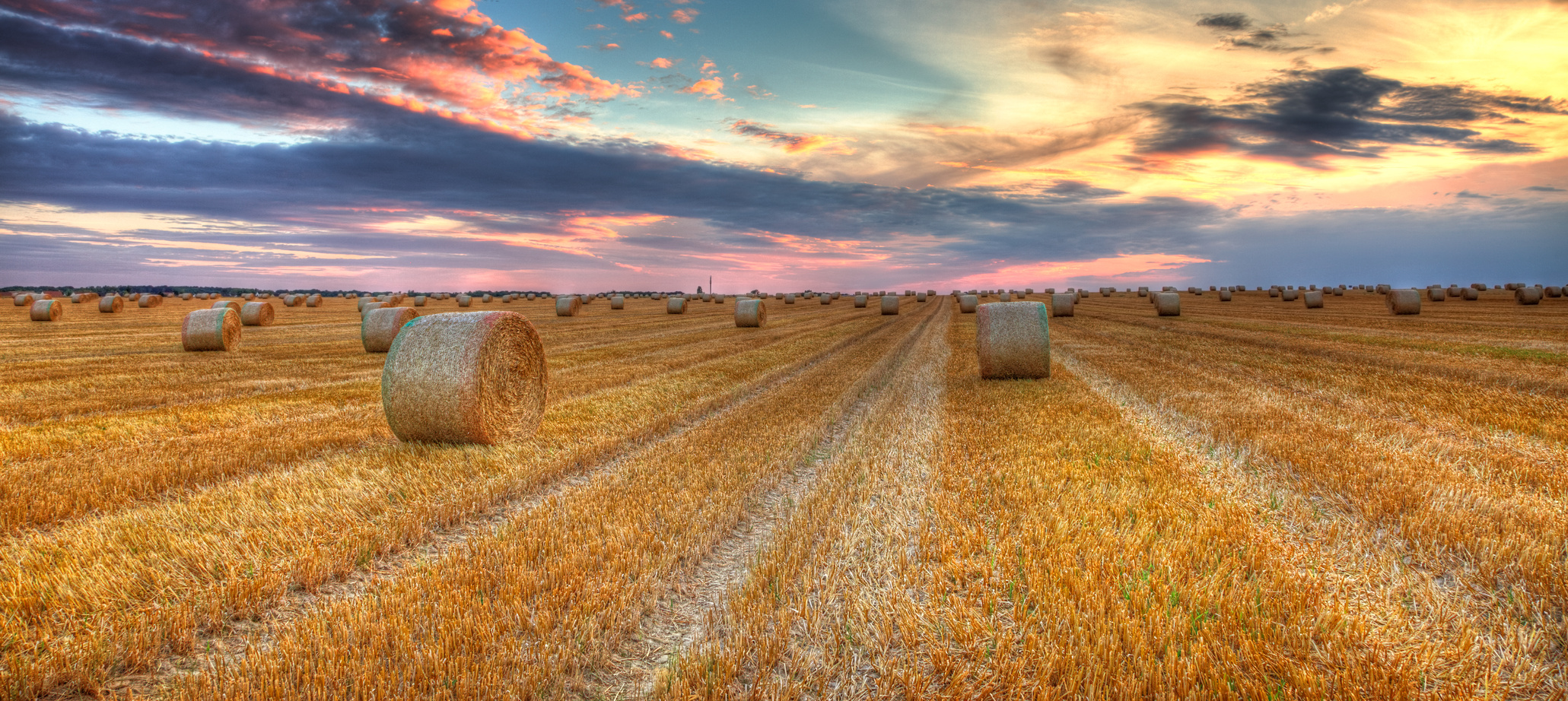 Sunset over the field with round hay bales